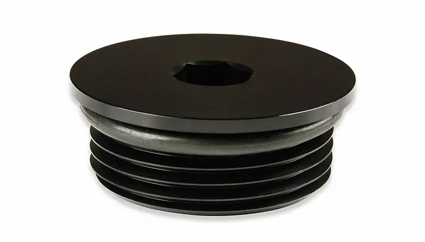 Earls AN Port Plug - Allen Head - AT981316ERL