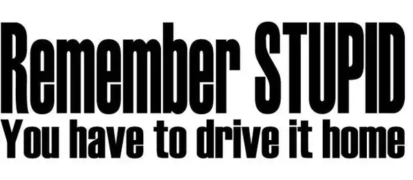 Remember Stupid You Have to Drive This Home-Decal